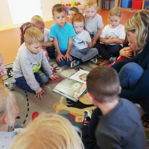 Zdjęcie nr 1