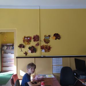 Zdjęcie nr 7