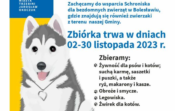 Plakat zachęcający do wielkiej zbiórki żywności dla schroniska