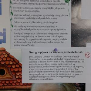 Zdjęcie nr 2