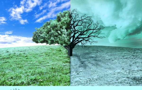 Grafika na projekt Akademia Klimatyczna