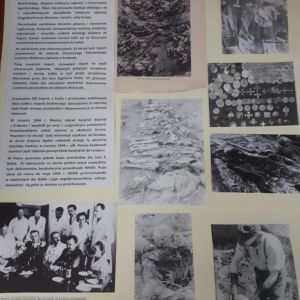 Zdjęcie nr 3