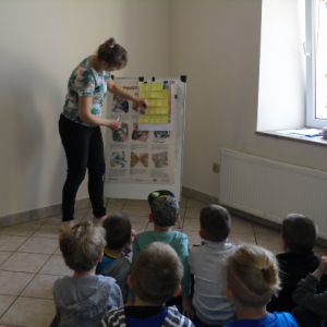 Zdjęcie nr 4