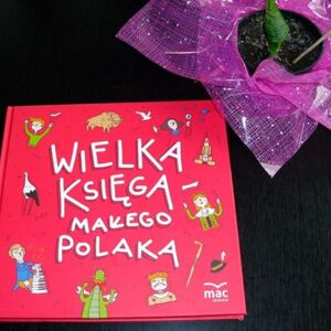 Zdjęcie nr 2
