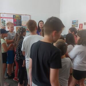 Zdjęcie nr 2