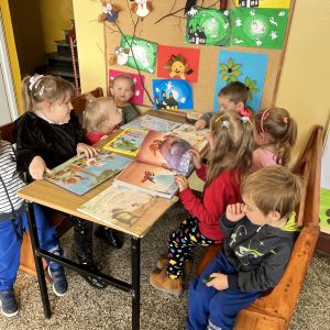 Zdjęcie nr 1