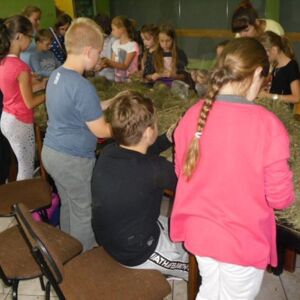 Zdjęcie nr 2