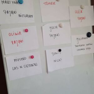 Zdjęcie nr 3