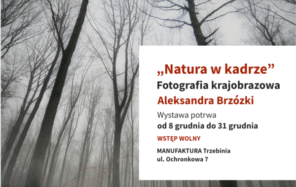 Fotografia krajobrazowa "Natura w kadrze" Aleksandra Brzózki