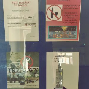 Zdjęcie nr 5