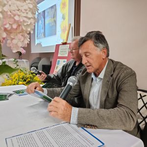 Zdjęcie nr 15
