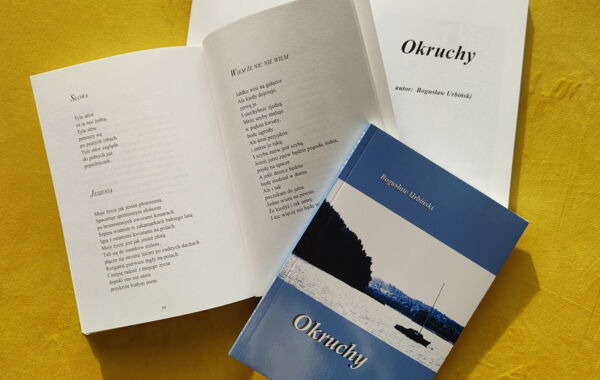 Okładka książki pt. Okruchy