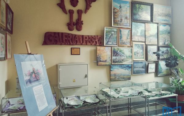 Wiszące obrazy w Galerii Pegaz oraz wystawa porcelany Sylwii Prażmowskiej-Kulig