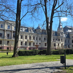 Zdjęcie nr 3