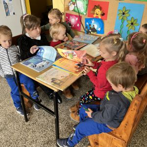 Zdjęcie nr 7