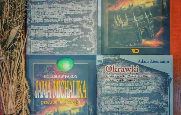 Okładki przekazanych nam przez Wydawnictwo Edukacyjne książek