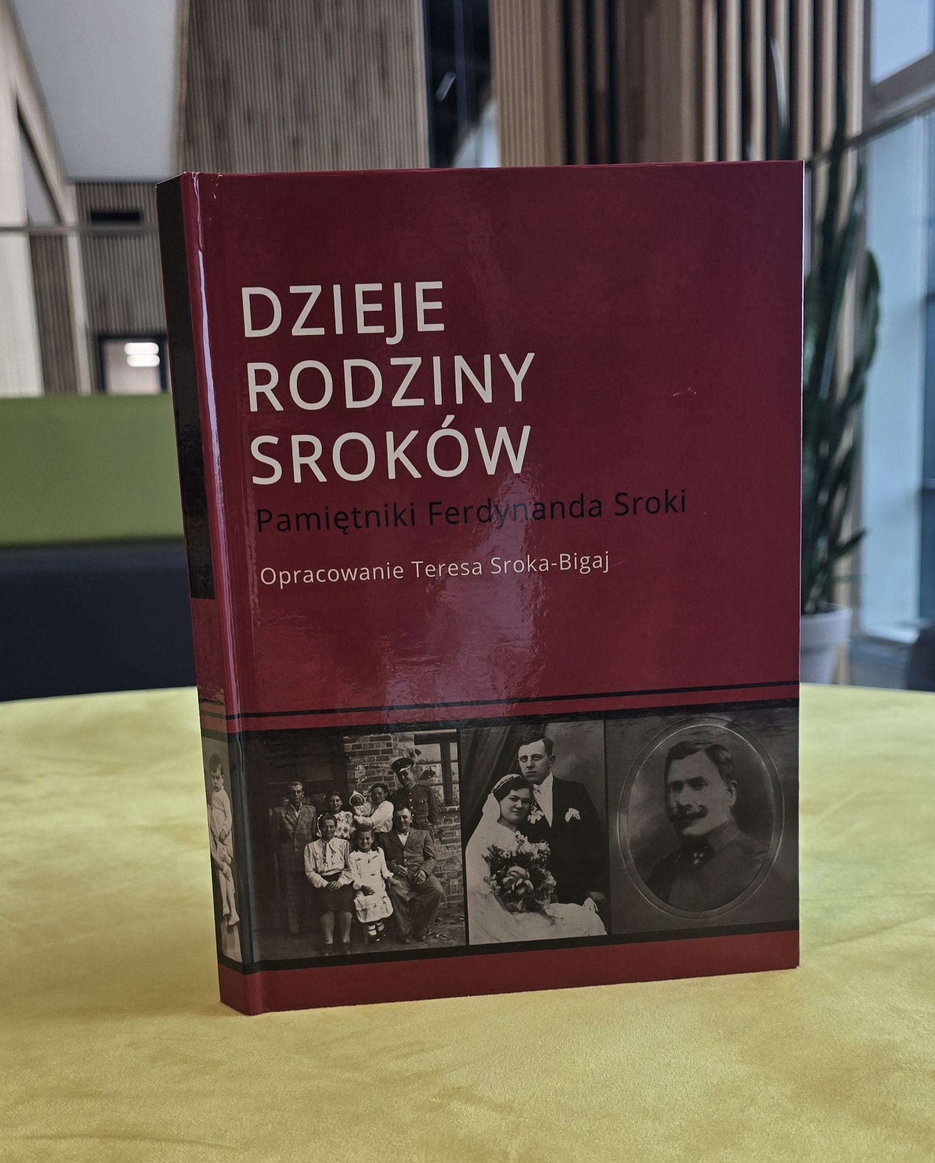 Okładka książki Dzieje rodziny Sroków